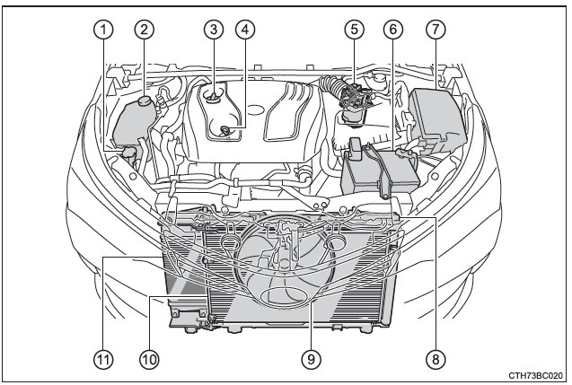 Compartimento del motor 