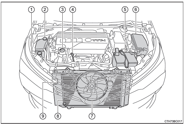 Compartimento del motor 