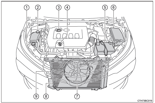 Compartimento del motor 